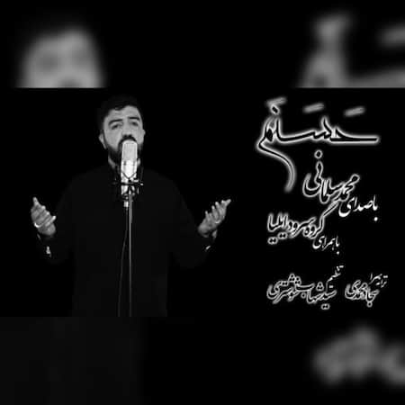 دانلود اهنگ جدید محمد سلمانی و گروه سرود ایلیا حسنم