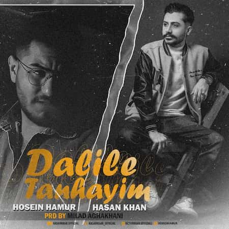 دانلود اهنگ جدید حسن خان و حسین حامور دلیل تنهاییم