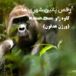 دانلود اهنگ جدید کاوه ژاو رقص پایین شهری ها