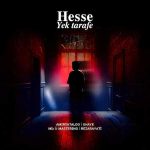 دانلود اهنگ جدید رضا رعیتی حس یک طرفه (ریمیکس)