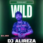 دانلود اهنگ جدید دیجی علیرضا مینی ست ویلد