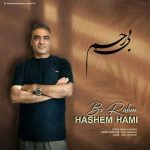 دانلود اهنگ جدید هاشم حامی بی رحم