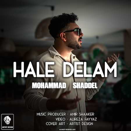 دانلود اهنگ جدید محمد شاددل حال دلم