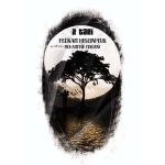 دانلود اهنگ جدید پدرام حسین پور دوتایی