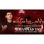 دانلود اهنگ جدید محمد تقی محبت رقیه