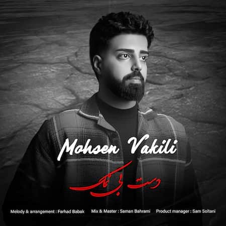 دانلود اهنگ جدید محسن وکیلی دست بی نمک