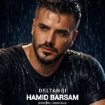 دانلود اهنگ جدید حمید برسام دلتنگی