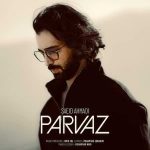 دانلود اهنگ جدید سعید احمدی پرواز