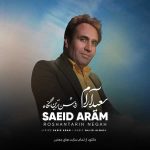 دانلود اهنگ جدید سعید آرام روشن ترین نگاه