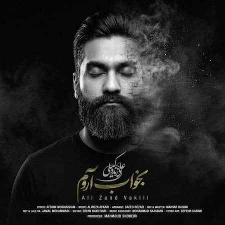 دانلود اهنگ جدید علی زندوکیلی بخواب آروم