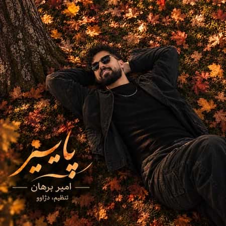 دانلود اهنگ جدید امیر برهان پاییز