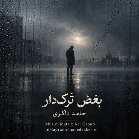 دانلود اهنگ جدید حامد ذاکری بغض ترک دار