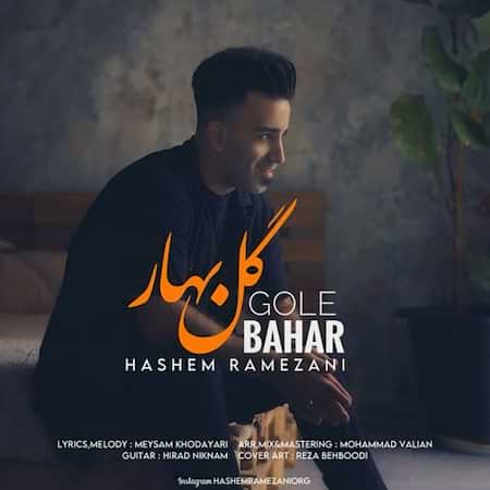 دانلود اهنگ جدید هاشم رمضانی گل بهار