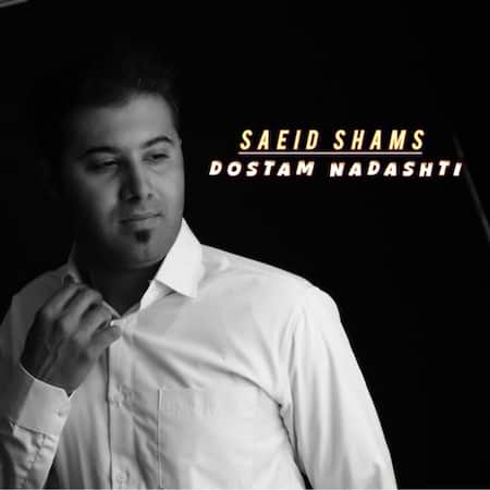 دانلود اهنگ جدید سعید شمس دوستم نداشتی