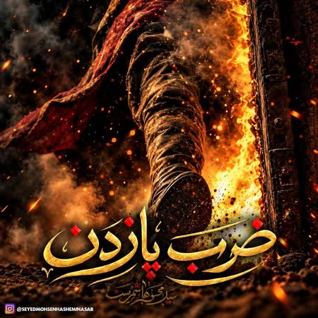 دانلود اهنگ جدید سید محسن هاشمی نسب ضرب پا زدن